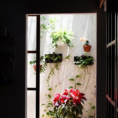A-Maze House Apartment เว้ ภายนอก รูปภาพ
