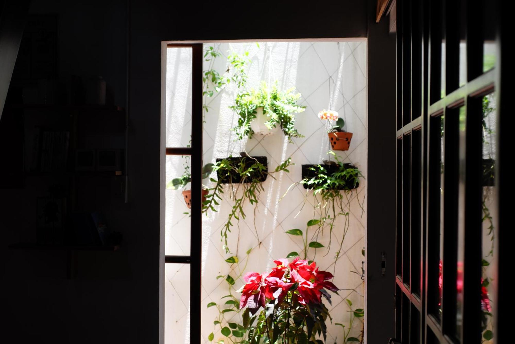 A-Maze House Apartment เว้ ภายนอก รูปภาพ